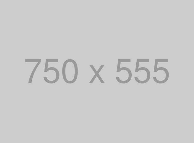 banner2